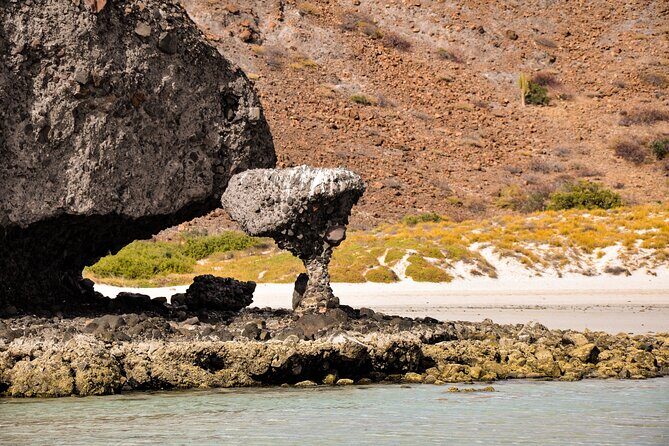 Espíritu Santo and Balandra Beach Combo Tour: Sea Lion Snorkeling - Practical Considerations and What to Expect