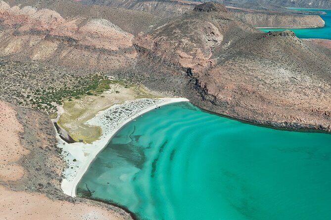 Espiritu Santo Wildlife Expedition and Snorkeling Tour (Private) - What Travelers Say (Based on Reviews)