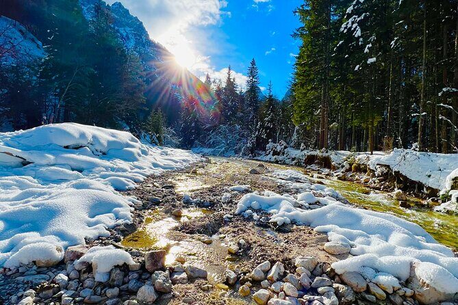 Essence of Slovenia Private Photoshoot Experience - Who Should Consider This Tour