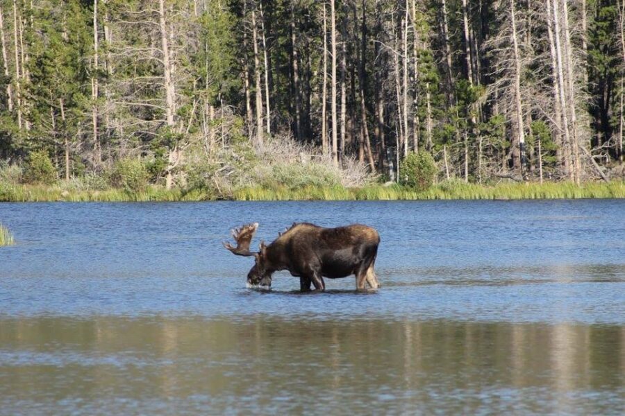 Estes Park: Waterfall Hiking Tour - Practical Details & Considerations