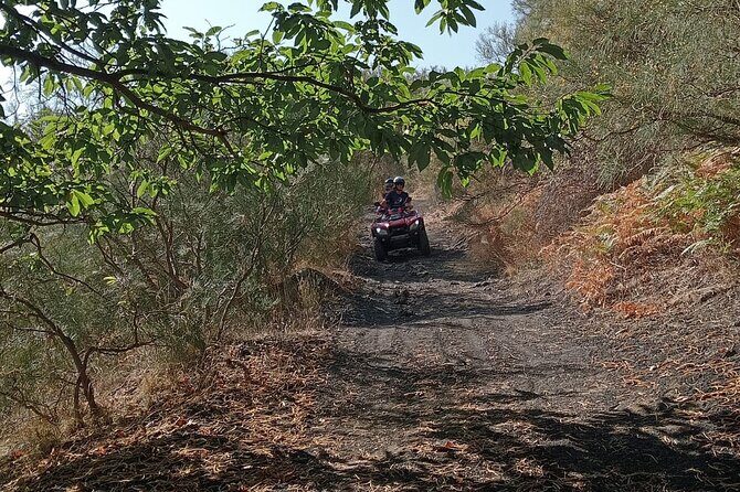 Etna Easy Tour - Who Should Consider This Tour?