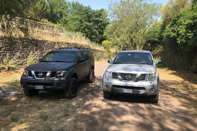 Etna private tour in 4x4 & Sicilian food farm experience - Who Should Consider This Tour?