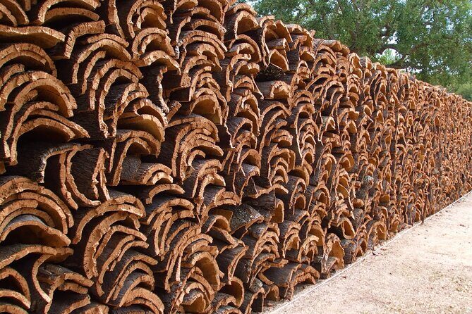 Évora Private Tour - Cork Factory Visit Included - Analyzing the Value