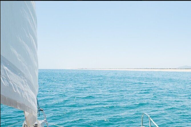 Excursion to Tavira - Analyzing the Value