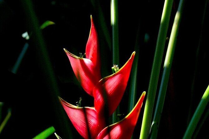 Exotic Garden EN Rancho Ecoturístico - What to Expect: Food, Guides, and Comfort