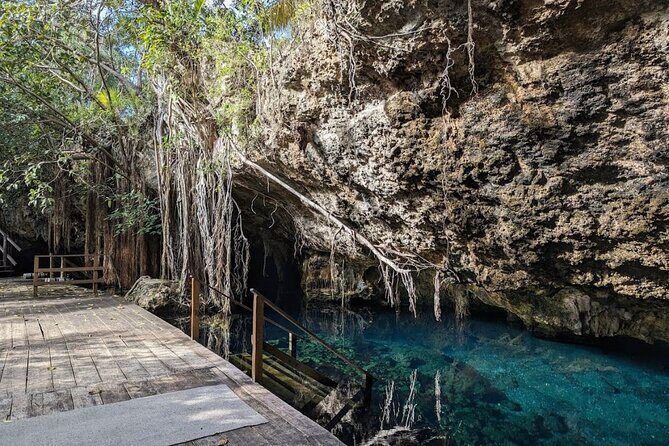 Exotik half a day tour: Cenote Cave and Swimming with Sea Turtles - Final Thoughts: Who Will Love This Tour?