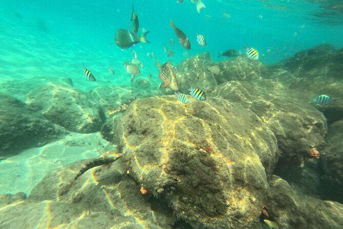 Experience Peanut Island Adventures with Go Pro - Why This Tour Stands Out