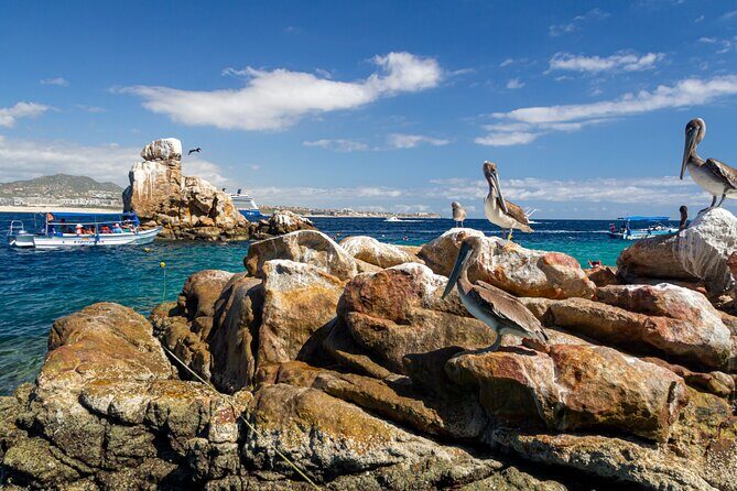 Experience the Clear Boat adventure & Cabo San Lucas City Tour - Who Is This Tour Best Suited For?