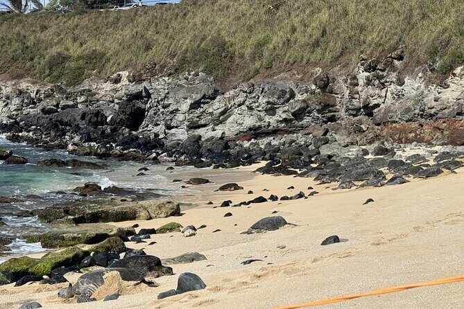 Experience the soul of Maui: Tours led by Maui's own! - Why Choose This Tour?