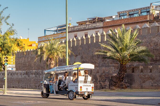 Expert Tour of Seville in Private Eco Tuk Tuk - What This Tour Means for You