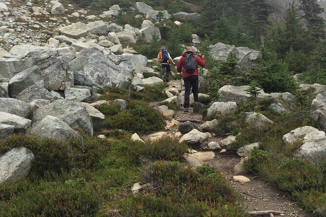 Explore Coastal Mountain Treasures: Scenic Hike from Squamish, BC - Who Will Enjoy This Experience?