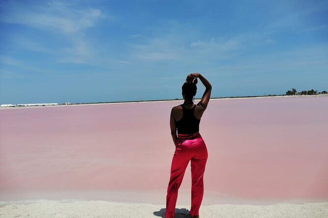 Explore Las Coloradas & Rio Lagartos from Riviera Maya - Who Is This Tour Best Suited For?