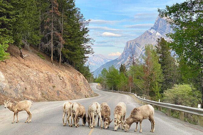 Explore Moraine Lake, Banff, Lake Louise & Minnewanka - Who Will Love This Tour?