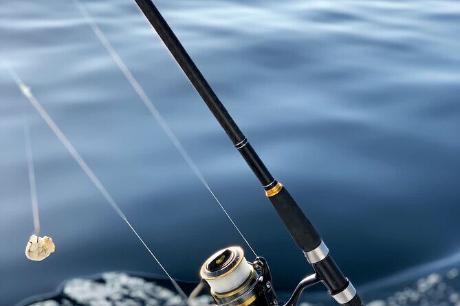 Explore Sesimbra Sports Fishing - Authentic Reviews and What They Say