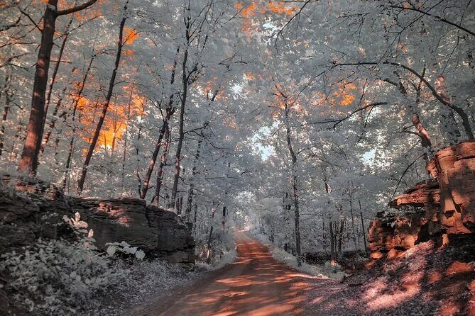 Explore the Views of Niagara Falls - Practical Details and the Tour Experience