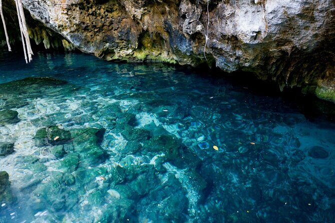 Explore Tulum and Dos Ojos Cenote with lunch and transportation - Transportation, Timing, and Group Dynamics