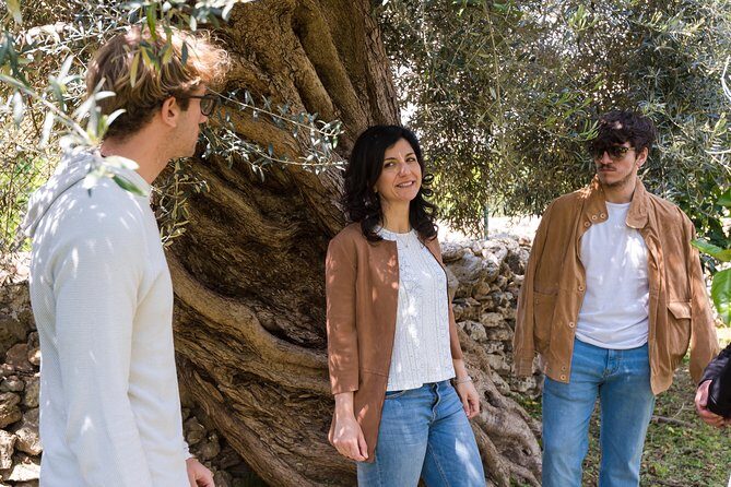 Extra virgin olive oil tasting in Syracuse - fairytale tour - The Sum Up