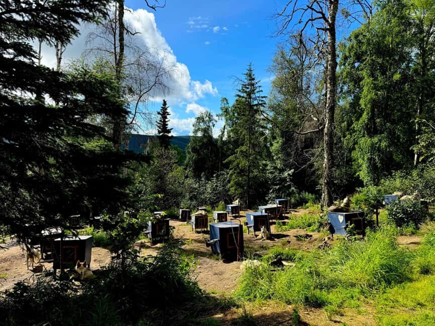 Fairbanks: Siberian Husky Kennel Tour - Why This Tour Offers Value