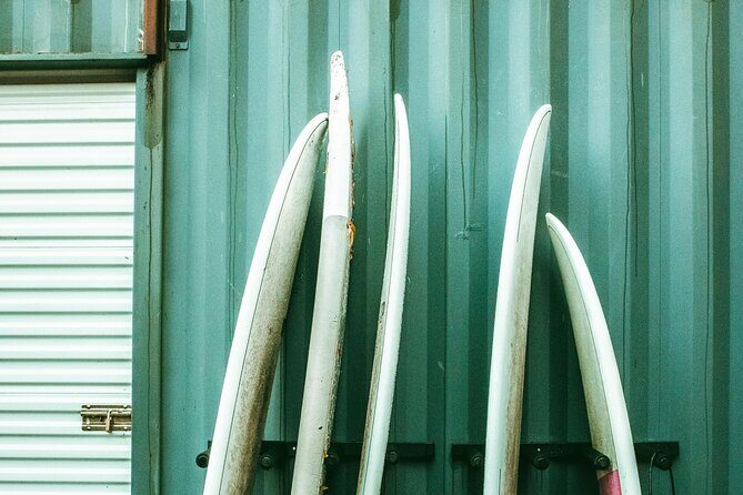 Fall Adventure Vancouver Island Grizzly Bears, High Tea and More - Authenticity and Value