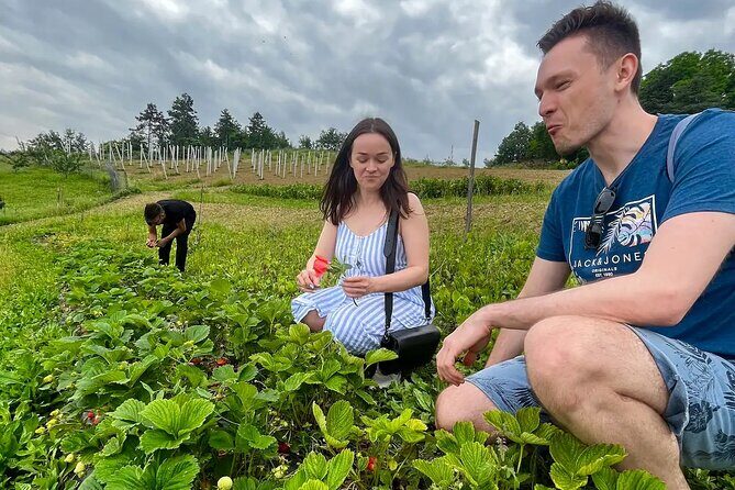 FARM STAY EXPERIENCE & DOZZA - Private Day Tour From Bologna - Who Will Love This Tour?