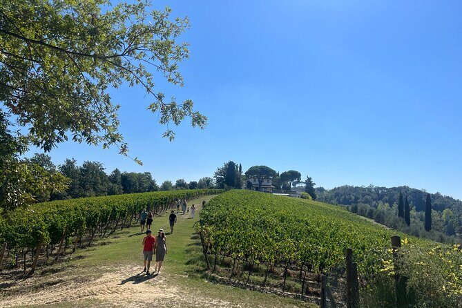 Farm To table Experience on an organic hilltop estate in Tuscany - Authentic Experiences That Set This Tour Apart
