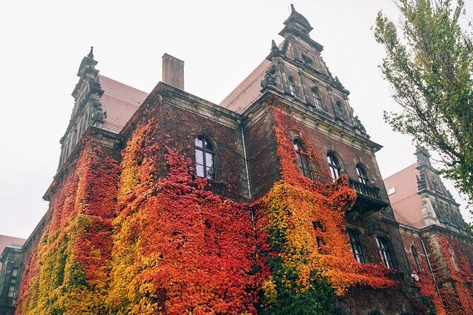 Fascinating Highlights of Wroclaw - Walking Tour - What We Loved About This Tour