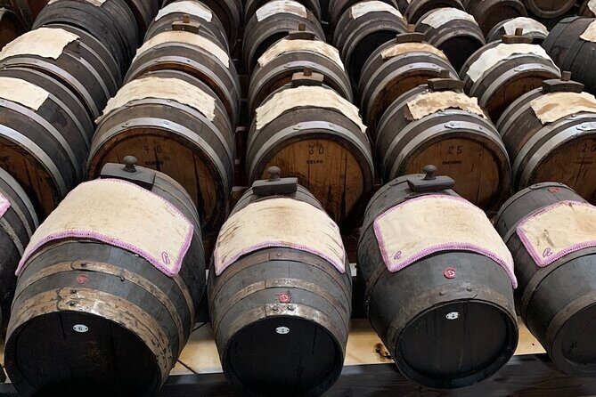 Ferrari, Parmesan and Balsamic Day Tour from Bologna - Who Will Love This Tour?