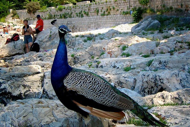 Filerimos Hill & Valley of Butterflies - Who Will Love This Tour?
