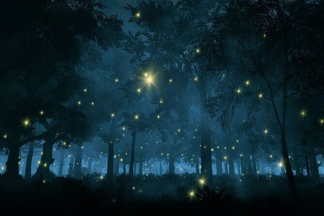 Firefly Sanctuary Tour in Puebla - What Makes This Tour Stand Out?