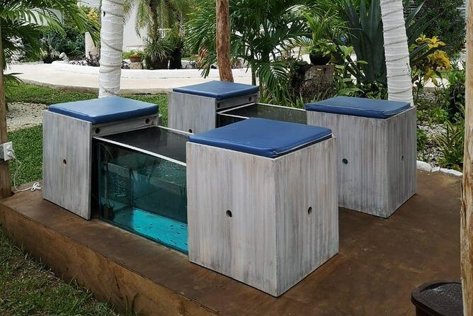 Fish Spa, Beach Break with Lounge Chairs, Umbrellas & Beach Area - How This Tour Breaks Down