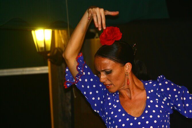 Flamenco and Grill evening on the banks of Lake Guadalmina - Who Should Consider This Tour?