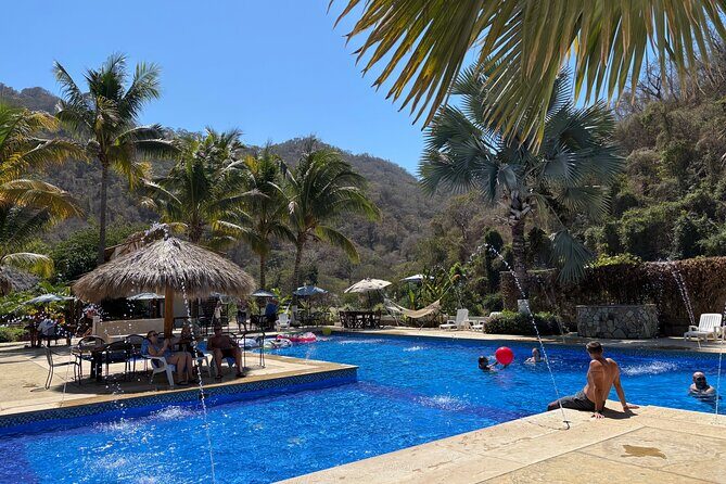 Flavors of Vallarta: A Churro, Tequila & Taco Adventure - Who Will Love This Tour?