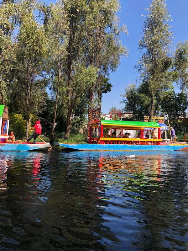 "Floating Party in Xochimilco: Canals, Tequila, and Tradition" - The Highlights and Drawbacks