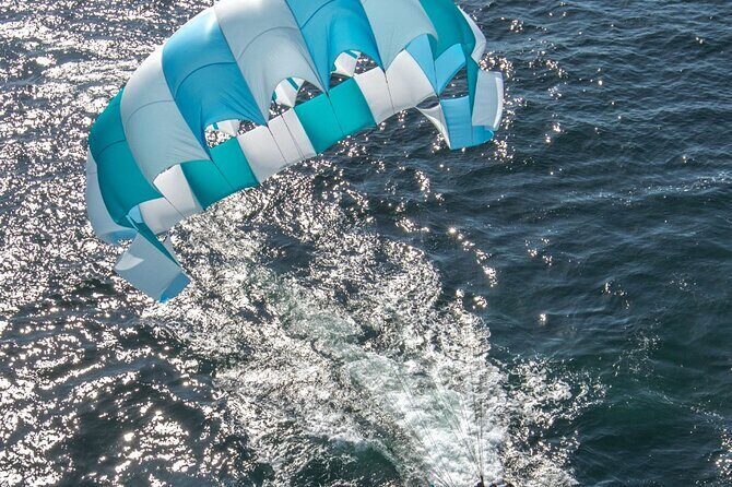 Fly High with Our Parasail in Los Cabos: Soar Above the Shores! - Authentic Perspectives from Past Participants