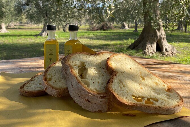 Food and Wine Tour between the Patriarchs Olives and the Oil Temples - The Heart of the Experience: A Detailed Breakdown
