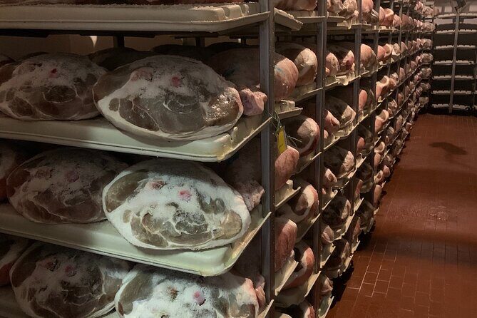 Food Valley: Parmesan, Prosciutto, Balsamic,Wine,Ferrari Day Tour - Who Will Love This Tour?