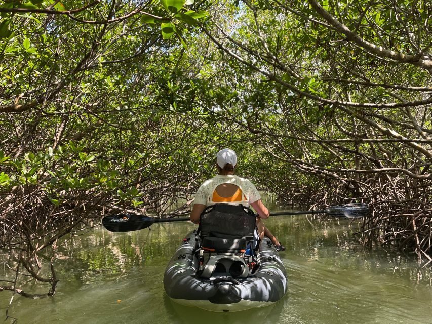 Fort Pierce: Prehistoric Preserve Kayak Tour - The Practical Details: What to Expect