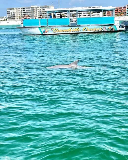 Fort Walton Beach: Emerald Coast 2-hour Dolphin Cruise - In Closing
