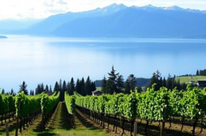 Fraser Valley Wine Escape Full Day Tour from Vancouver - Analyzing the Value