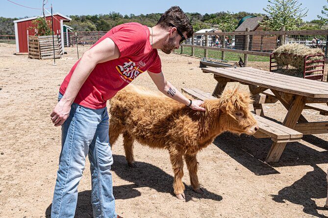 Fredericksburg Safari Tour Without Wine Tasting - Weather Considerations