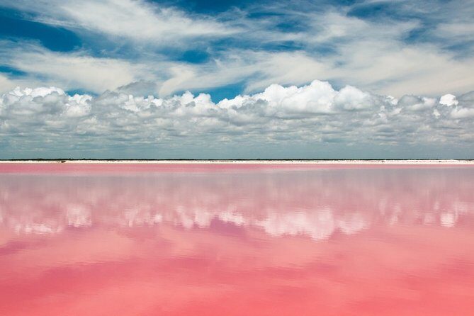 Free Yourself at Las Coloradas Natural Pink Lake! Tour from Playa Del Carmen - Who Would Love This Tour?