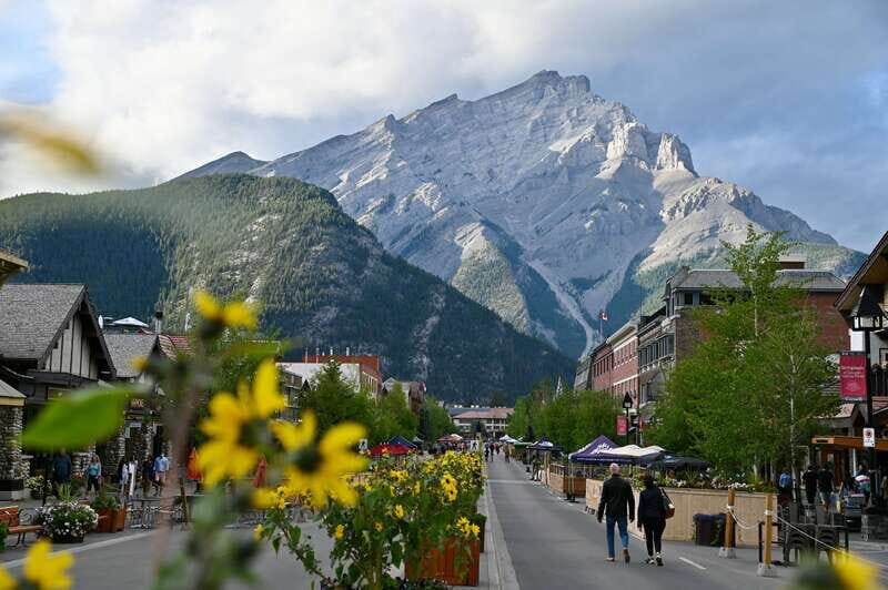 From Banff: Banff Wildlife & Scenic Highlights Premium Tour - What to Expect on the Tour