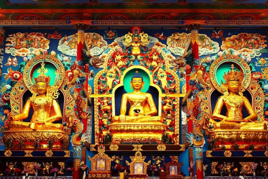 From Bangalore: 7 Days Coorg & Hassan Heritage Private Tour - What Makes This Tour Stand Out?