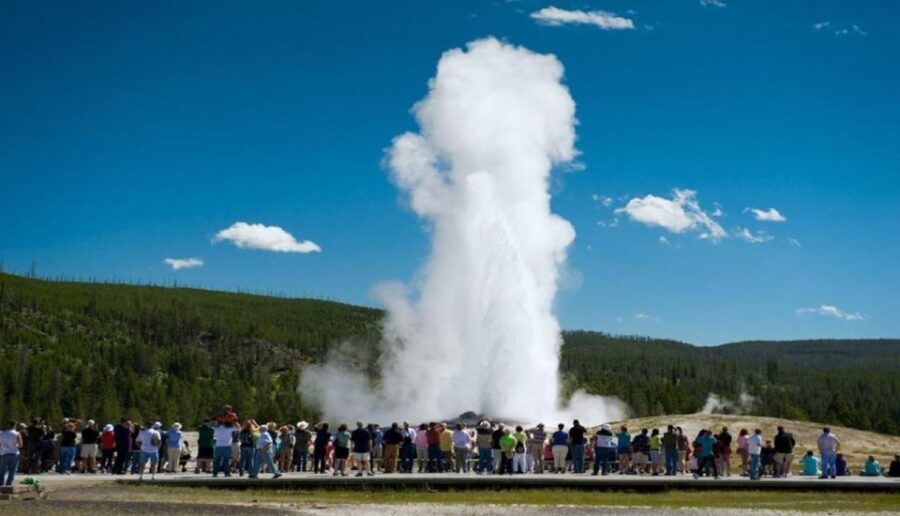 From Bozeman: Yellowstone Day Tour (Lower Loop) - What To Expect in Terms of Comfort and Value