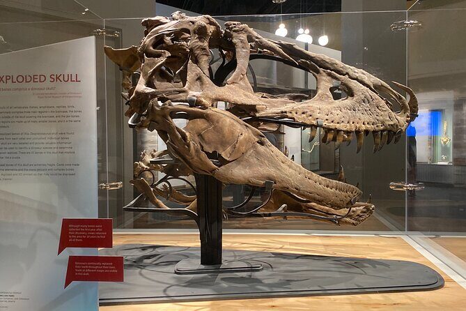 From Calgary: Private Tour to Royal Tyrrell Museum & Drumheller - Final Thoughts: Is This Tour Worth It?