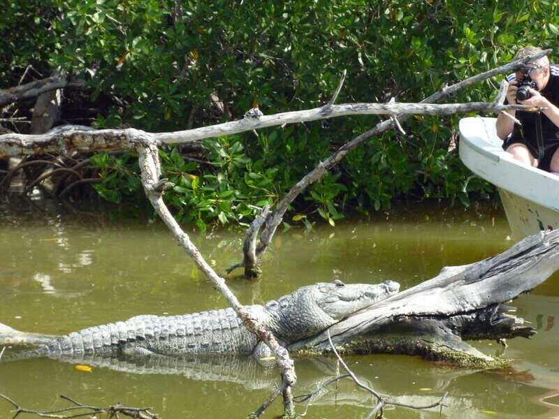 From Cancun: Kantemó Snake Cavern Adventure - Analyzing the Value and Practicalities