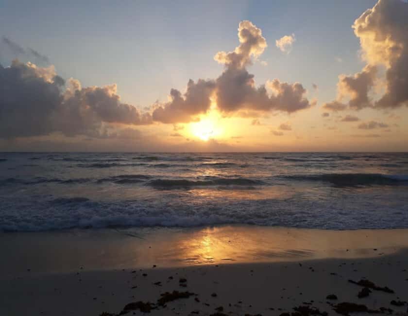 From Cancun: Ocean Reef Snorkeling - Final Thoughts