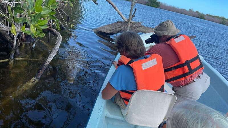 From Cancun: Rio Lagartos and Las Coloradas Day Trip - Who Will Appreciate This Tour?