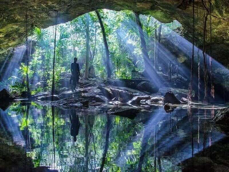 From Cancun: Taj Ma Ha Cenote Diving Experience - Why This Tour Is Worth Considering