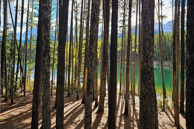 From Canmore/Banff: Columbia Icefield Skywalk Peyto Private Tour - Practical Tips for Your Trip